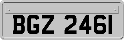 BGZ2461
