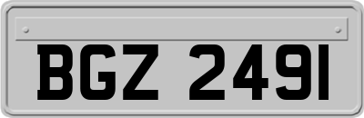 BGZ2491