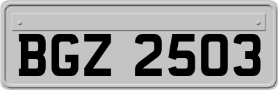 BGZ2503