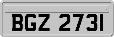 BGZ2731