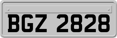 BGZ2828