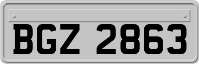 BGZ2863