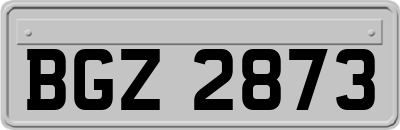 BGZ2873