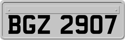 BGZ2907