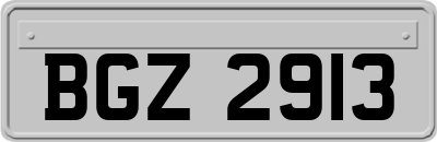 BGZ2913