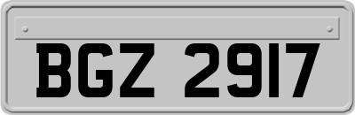 BGZ2917