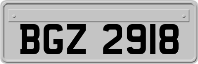 BGZ2918