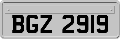 BGZ2919