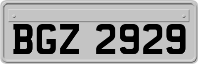 BGZ2929