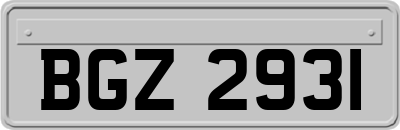 BGZ2931