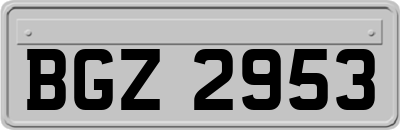 BGZ2953