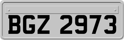 BGZ2973
