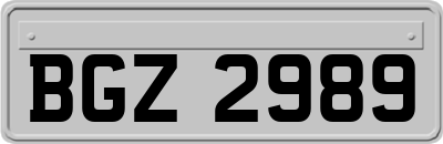 BGZ2989