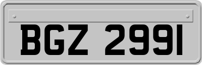 BGZ2991