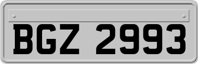 BGZ2993
