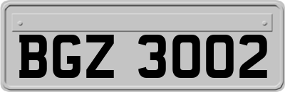 BGZ3002