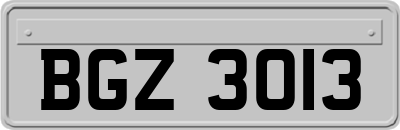 BGZ3013