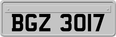 BGZ3017