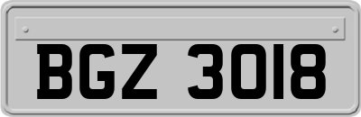 BGZ3018