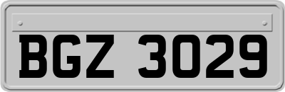 BGZ3029