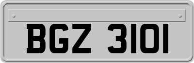 BGZ3101