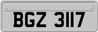BGZ3117