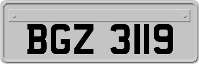 BGZ3119