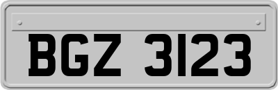 BGZ3123