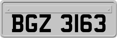 BGZ3163