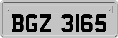BGZ3165