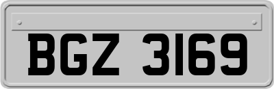 BGZ3169