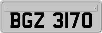 BGZ3170