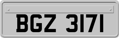 BGZ3171
