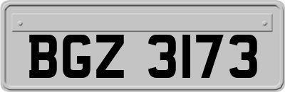 BGZ3173