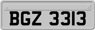BGZ3313