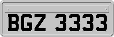 BGZ3333