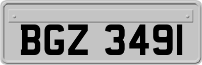 BGZ3491