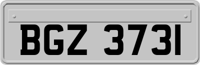 BGZ3731