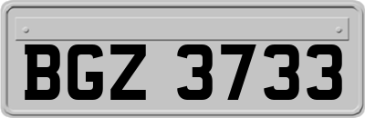 BGZ3733