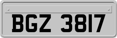 BGZ3817