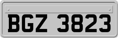 BGZ3823