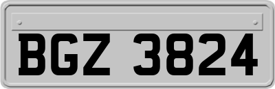 BGZ3824