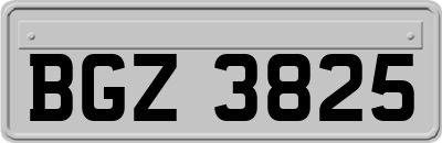 BGZ3825