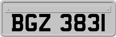 BGZ3831