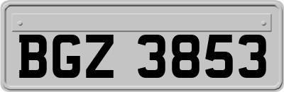 BGZ3853