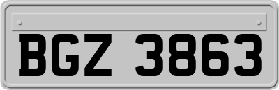 BGZ3863