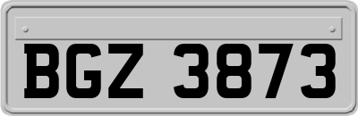 BGZ3873