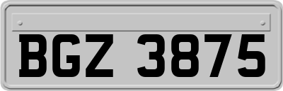 BGZ3875