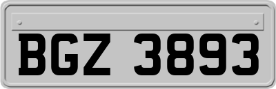 BGZ3893