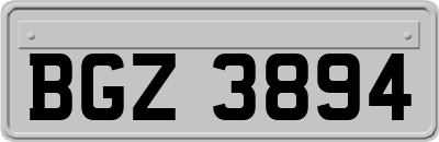 BGZ3894